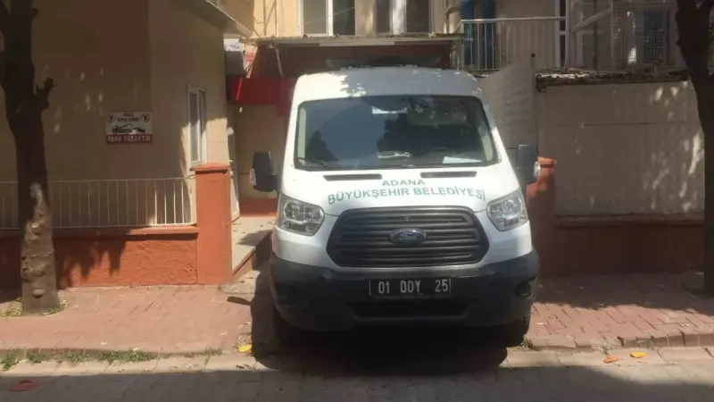Adana’da köpek sürüsü yaşlı kadını parçaladı