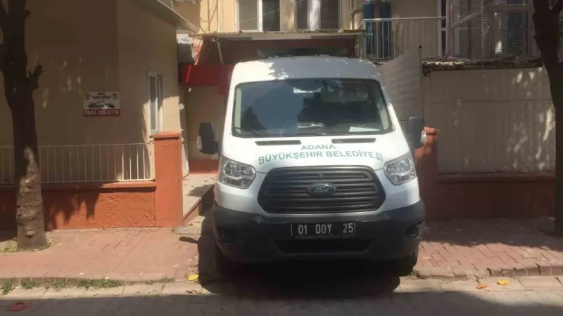 Adana’da köpek sürüsü yaşlı kadını parçaladı