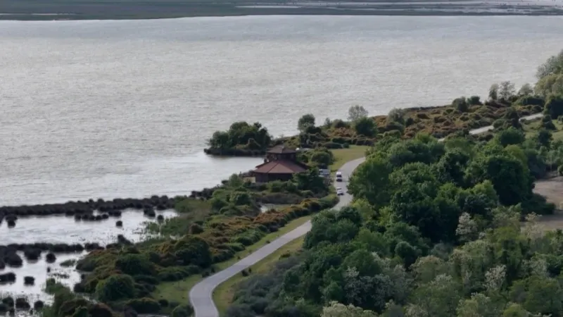 Türkiye’nin ilk Yaban Hayatı Araştırmaları Enstitüsü açıldı