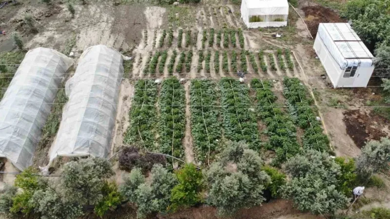Şiddetli yağmurun etkili olduğu Hatay’da tarım arazileri sular altında kaldı