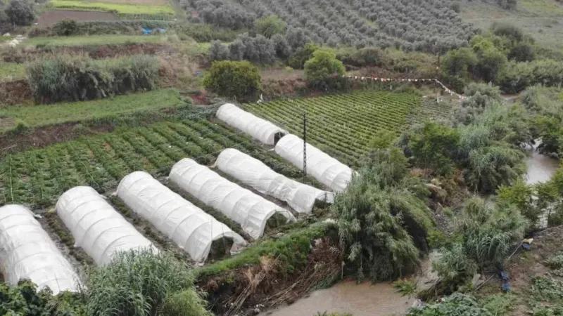 Şiddetli yağmurun etkili olduğu Hatay’da tarım arazileri sular altında kaldı