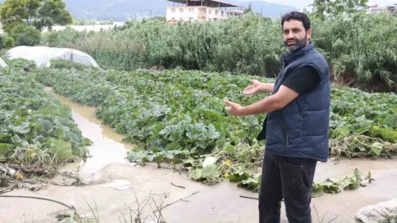 Şiddetli yağmurun etkili olduğu Hatay’da tarım arazileri sular altında kaldı