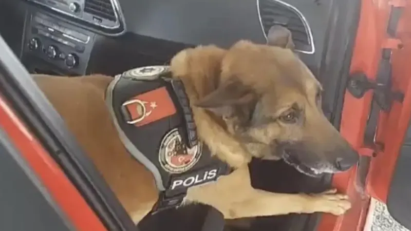 Osmaniye’de uyuşturucu operasyonu: 11 tutuklama