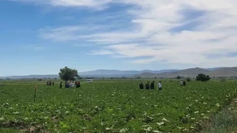 Kayseri'de eğitim uçağı düştü: 2 pilot şehit oldu