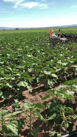 Kayseri'de eğitim uçağı düştü: 2 pilot şehit oldu