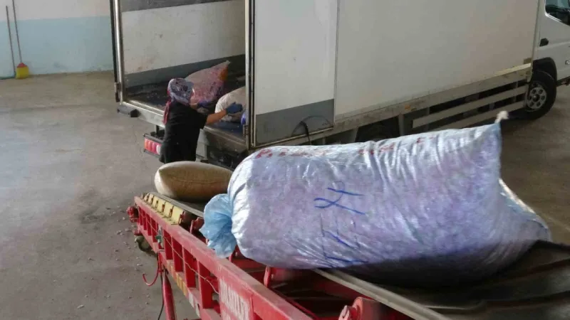 4 tondan sadece 1 litre çıkıyor, litresi 400 bin TL’yi buluyor