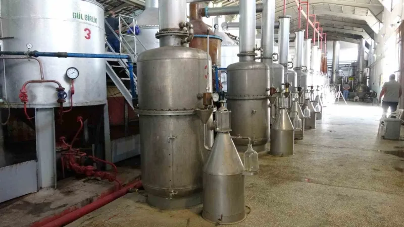 4 tondan sadece 1 litre çıkıyor, litresi 400 bin TL’yi buluyor