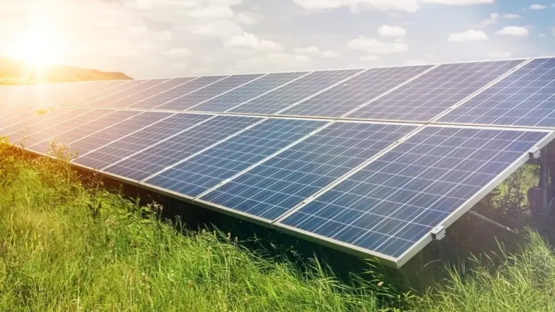 Turkcell’den çevresel sürdürülebilirliğe 240 milyon dolar yatırım