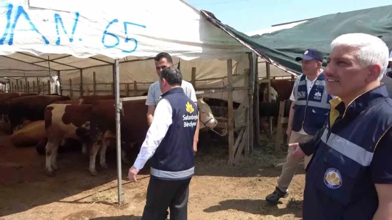 ’Sultanbeyli Belediyesi Kurban Alanı’ hizmete hazır