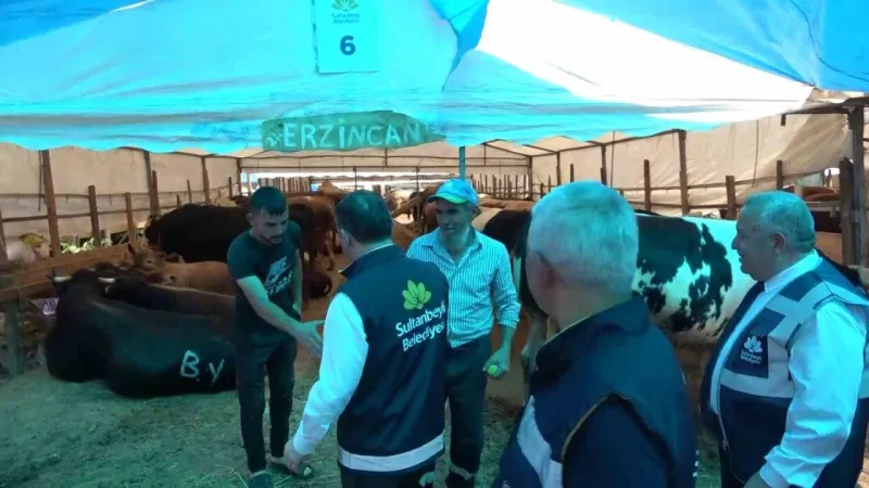 ’Sultanbeyli Belediyesi Kurban Alanı’ hizmete hazır