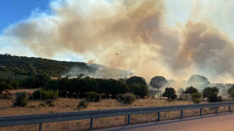 Çanakkale’de tahliye edilen köy sayısı 2’ye yükseldi