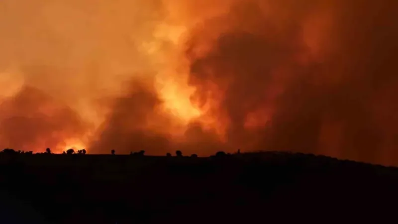 Anız yangını: 5 ölü, 29 yaralı