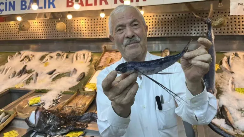 Marmara Denizi açıklarında uçan balık yakalandı