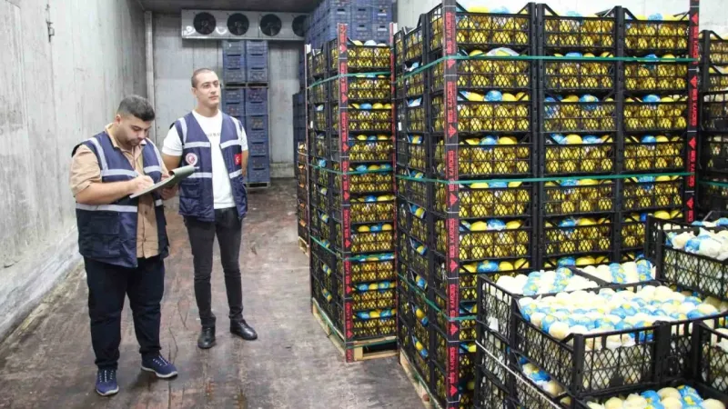 Mersin’de limon depoları denetleniyor