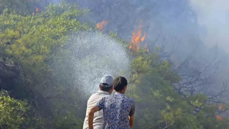 Ekoloji Uzmanı Prof. Dr. Neyişçi’den yangına karşı rüzgar perdesi önerisi