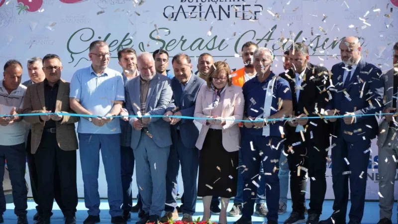 Çöplerden elde edilen ısıdan yararlanılan çilek serası ilk hasadını verdi