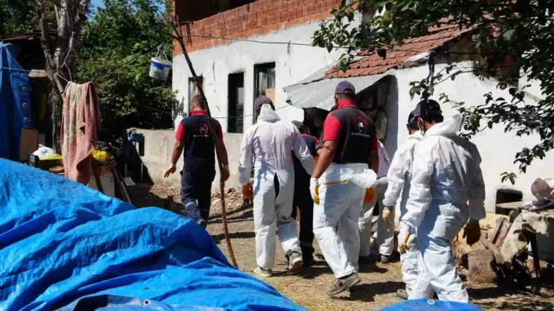 Çöp evden 42 kamyon çöp çıkardı