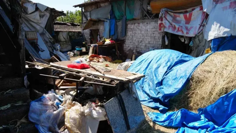 Çöp evden 42 kamyon çöp çıkardı