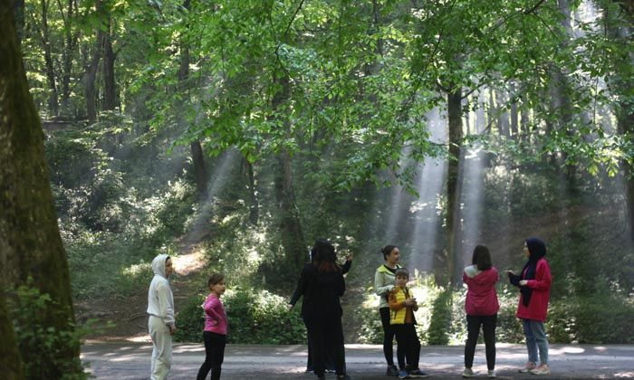 Eyüpsultan’da kişi başına 15 metrekare yeşil alan düşüyor