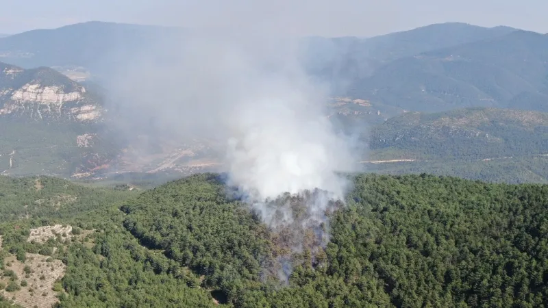 Kastamonu’daki orman yangını kontrol altına alındı, Karabük’teki orman yangınında alevler yayılıyor