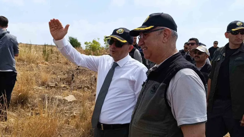 Cumhuriyet tarihinin en büyük yangınının yaşandığı bölgede yeşile dönüş tamamlandı