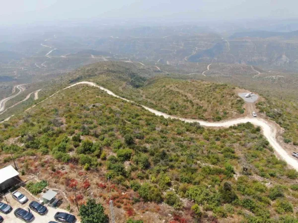 Cumhuriyet tarihinin en büyük yangınının yaşandığı bölgede yeşile dönüş tamamlandı