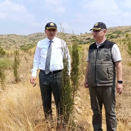 Cumhuriyet tarihinin en büyük yangınının yaşandığı bölgede yeşile dönüş tamamlandı
