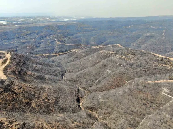 Cumhuriyet tarihinin en büyük yangınının yaşandığı bölgede yeşile dönüş tamamlandı