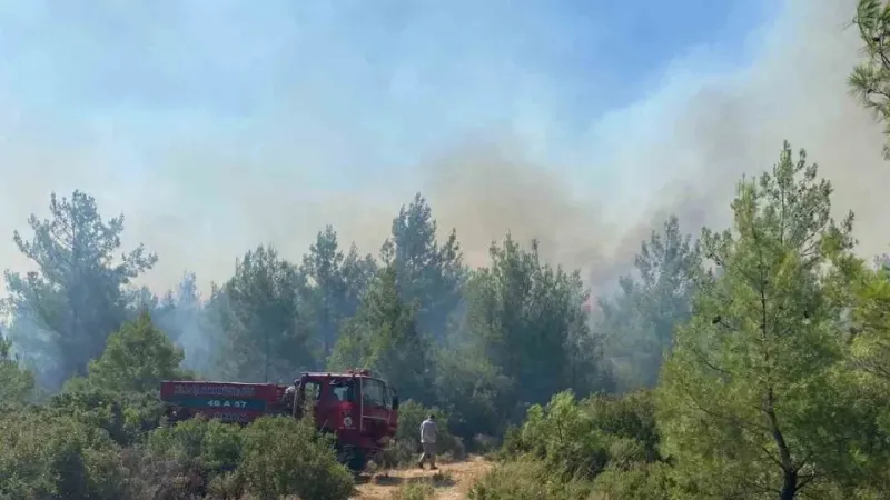 Milas’ta orman yangını