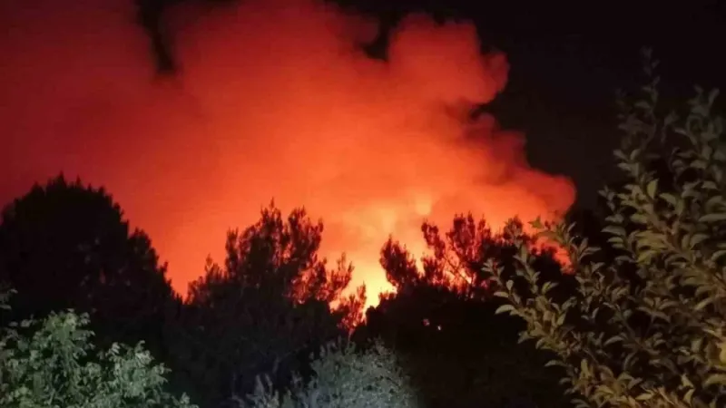 İzmir’deki orman yangını 22 saat sonra kontrol altında