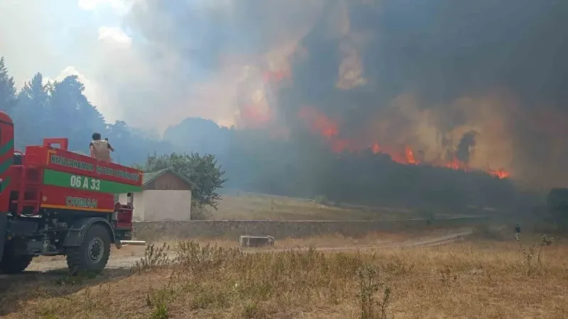 Ankara’da başlayan yangın Bolu’ya sıçradı