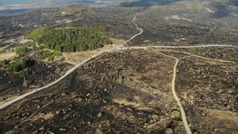 Ankara’dan Bolu’ya sıçrayan yangın 22 saat sonra kontrol altına alındı