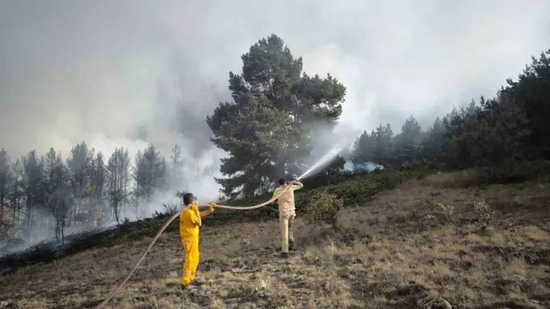 Ankara’dan Bolu’ya sıçrayan yangın 22 saat sonra kontrol altına alındı
