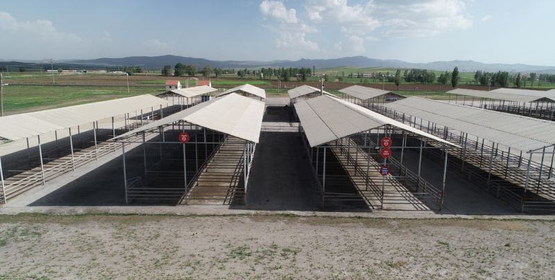 Türkiye’nin En Büyük Hayvan Pazarı Kapatıldı