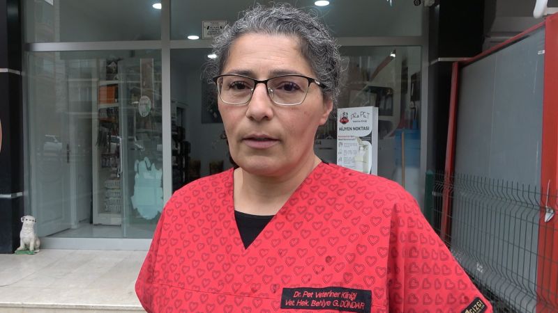 Şap Hastalığı Çok Hızlı Bulaşıyor!