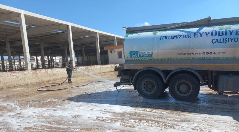 Şanlıurfa’ya Canlı Hayvan Giriş Çıkışı Yasaklandı