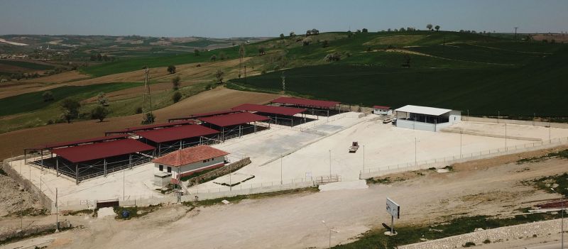Samsun’da Hayvan Pazarları Tedbiren Kapatıldı