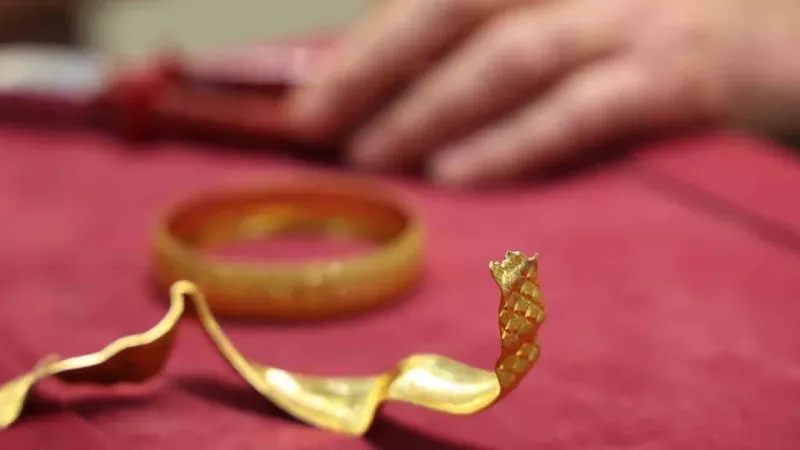 Sahte altına karşı uzmanlardan ses uyarısı