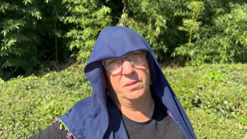 Yağışlar sonrası güneş açtı, çayda 4. sürgün gözüktü