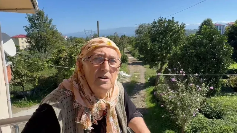 Yağışlar sonrası güneş açtı, çayda 4. sürgün gözüktü