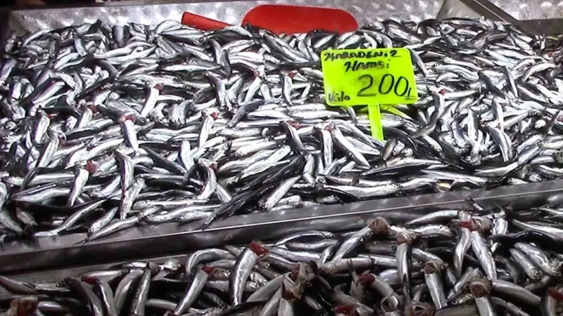 Hamsi yeni yıla ucuzlayarak girdi