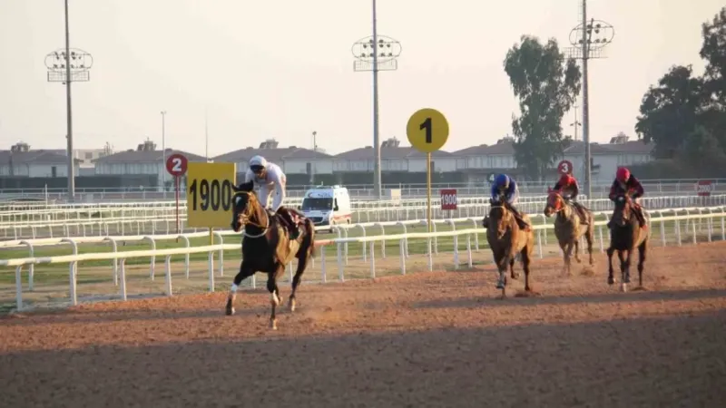 Beşiktaş Başkanı Serdal Adalı’nın atı birinci oldu