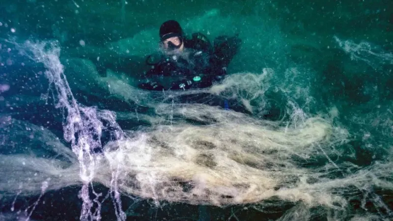 Marmara Denizi’nde müsilajın nedeni belli oldu