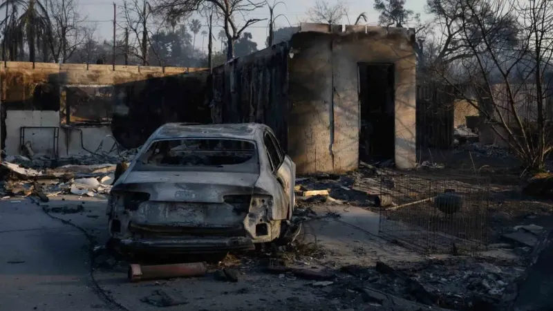 Orman yangınlarında ölü sayısı 11’e yükseldi