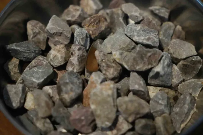 Türk araştırma firmasından Amerika’ya yangınla mücadele teklifi