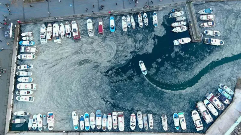 Çanakkale’de müsilaj sebebiyle bir aydır denize ağ atamıyorlar