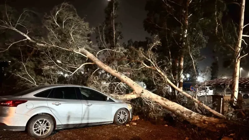 Hatay’da şiddetli fırtına: Ağaç devrildi, çöp konteynerleri yola sürüklendi