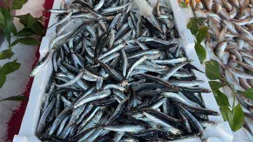 Fırtına hamsi fiyatını yükseltti 