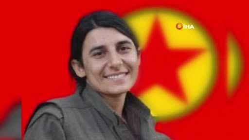 MİT’ten nokta operasyon