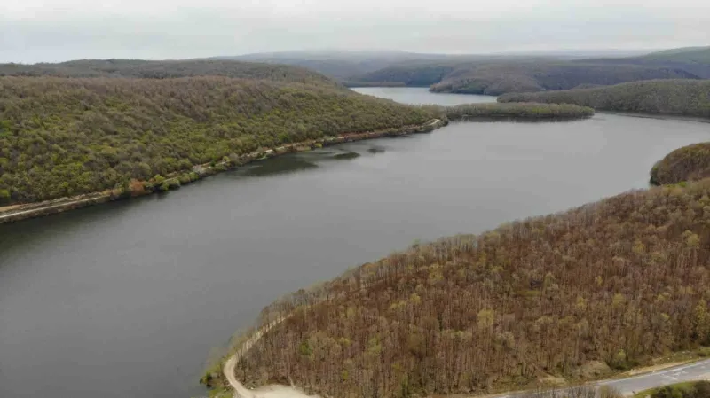Son yağışlar İstanbul’u destekleyen barajların seviyesini yükseltti